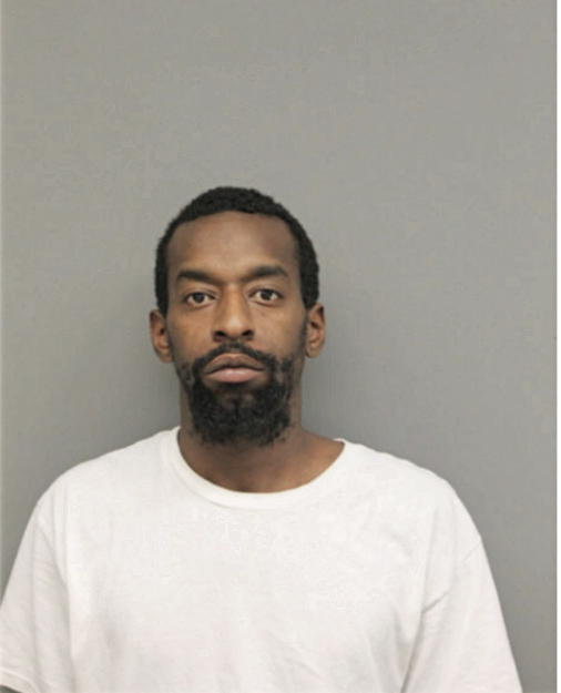 CHRISTOPHER A SIMMONS, Cook County, Illinois