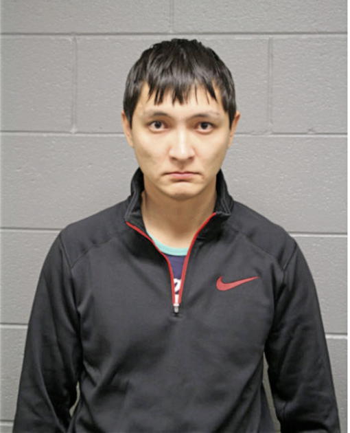 DULAT ZHANIBEKOV, Cook County, Illinois