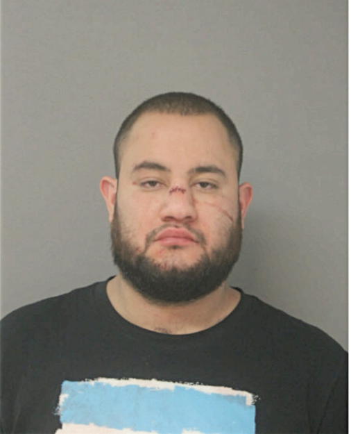 EDGAR ARCE, Cook County, Illinois