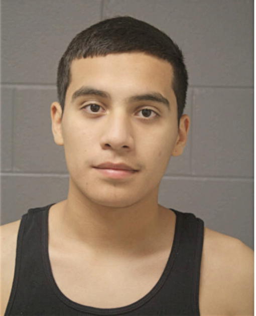 ANDREW E BADILLO, Cook County, Illinois