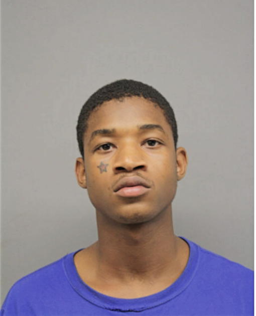 DAMIEN E BEAL, Cook County, Illinois