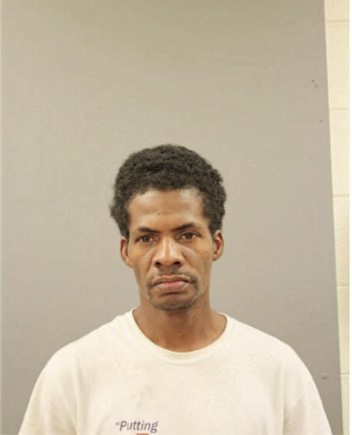 VINCENT D BRIDGES, Cook County, Illinois