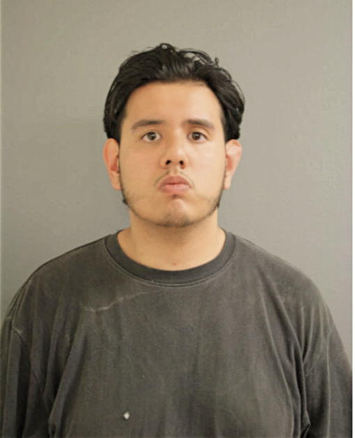 TONY CHAVEZ, Cook County, Illinois