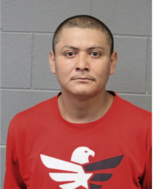 FREDI CRUZ-CASTRO, Cook County, Illinois