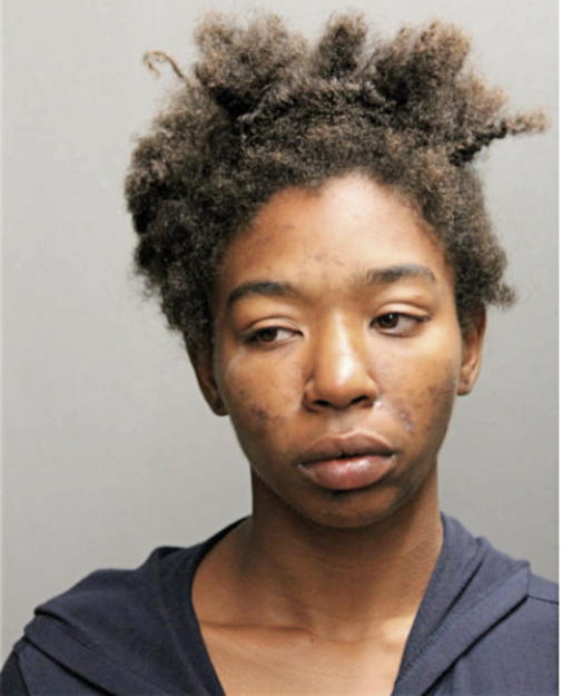 BRITANY M CUEVAS, Cook County, Illinois