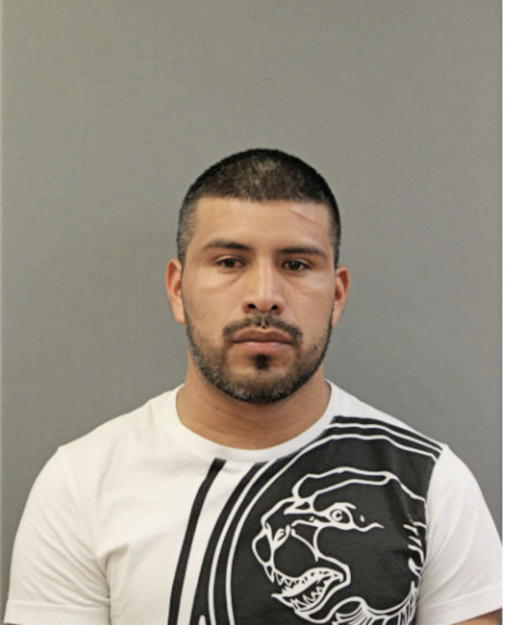DANIEL GARCIA, Cook County, Illinois