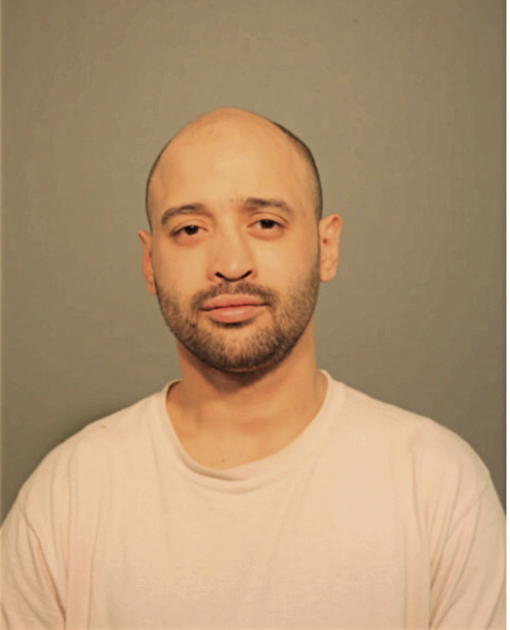 LUIS A GONZALEZ-HERNANDEZ, Cook County, Illinois
