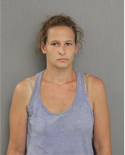 JESSICA L GOODMAN, Cook County, Illinois