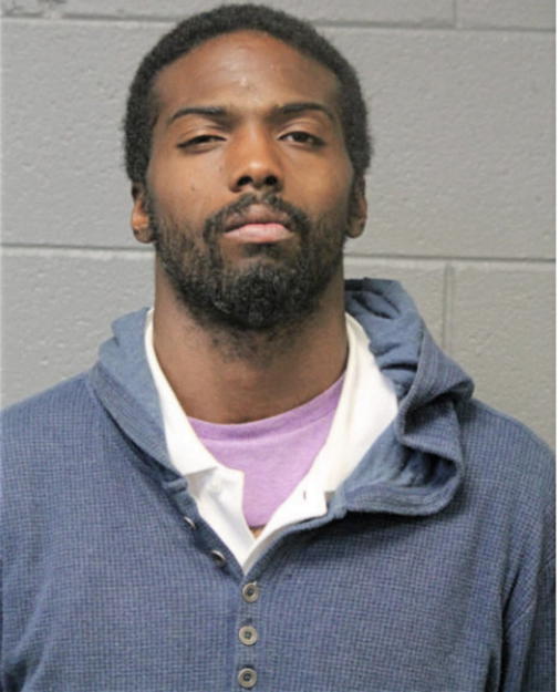 AARON L JOHNSON, Cook County, Illinois