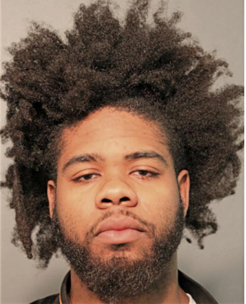 ROOSEVELT LESTER, Cook County, Illinois