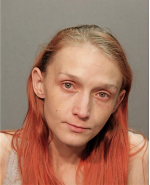 MICHELLE L LEWANDOWSKI, Cook County, Illinois