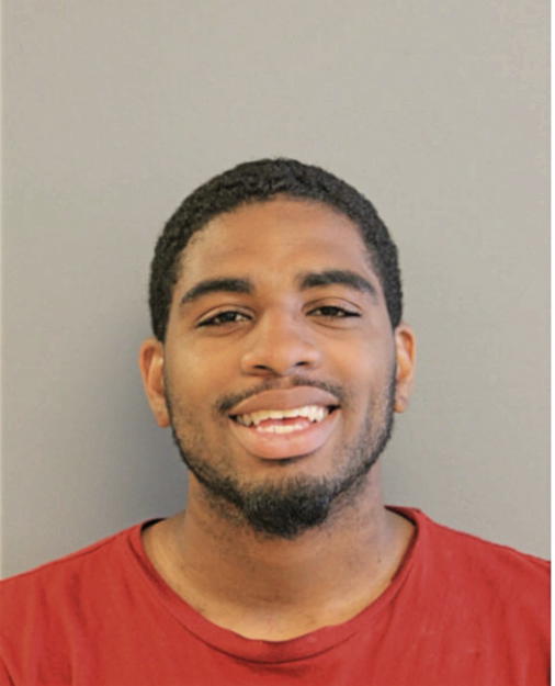 DEVONTE P LEWIS, Cook County, Illinois