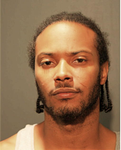 MICHAEL L MCDANIELS, Cook County, Illinois