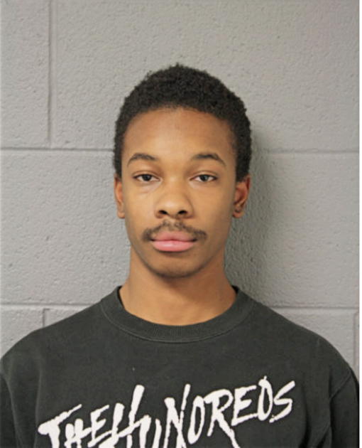 TERRENCE MCGOWIN, Cook County, Illinois