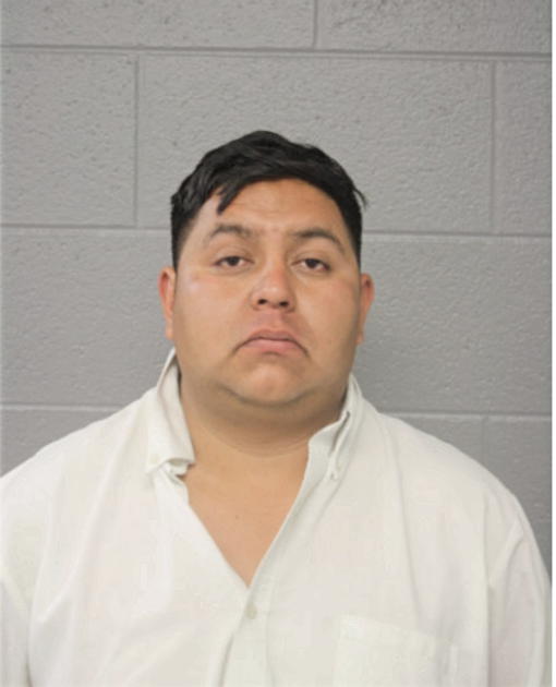 MIGUEL NAVA, Cook County, Illinois