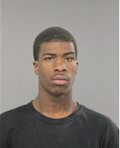 BRANDON J STEWARD, Cook County, Illinois