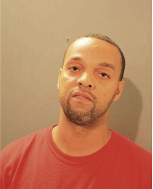 MICHAEL M VIRGIN, Cook County, Illinois