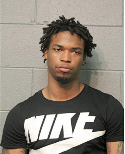 DOUGLAS C YOUNG, Cook County, Illinois