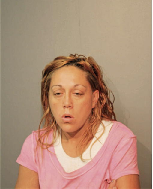 TRACY L ANDERSON, Cook County, Illinois