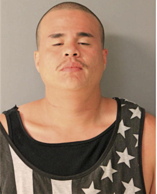 DAVID A AROCHO, Cook County, Illinois