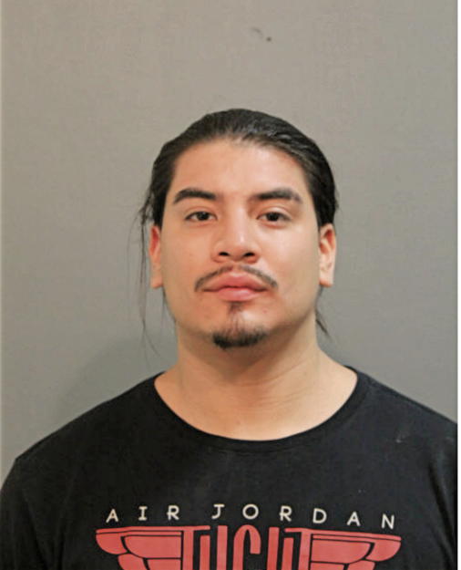 JESSE J CHAVEZ, Cook County, Illinois