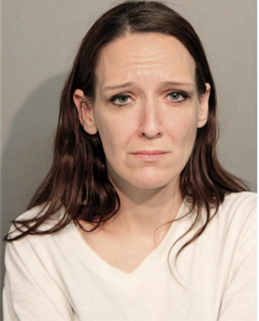 THERESA M DELAVERGNE, Cook County, Illinois