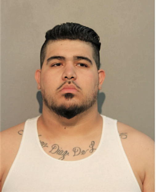 SIMON M DIAZ, Cook County, Illinois