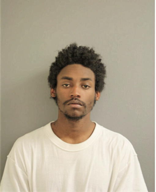 DARNELL N DORSEY-COLLIER, Cook County, Illinois