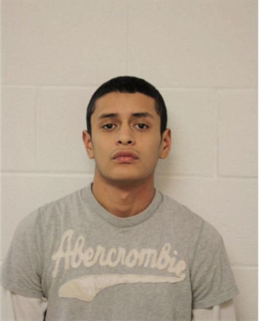 MICHAEL A FREYTES, Cook County, Illinois