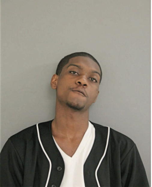 DEMARIAE L GARNER, Cook County, Illinois