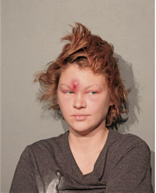 STEPHANIE HAASER, Cook County, Illinois