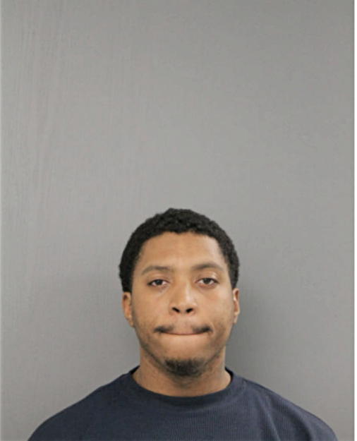 TREVOR T HOLMES, Cook County, Illinois