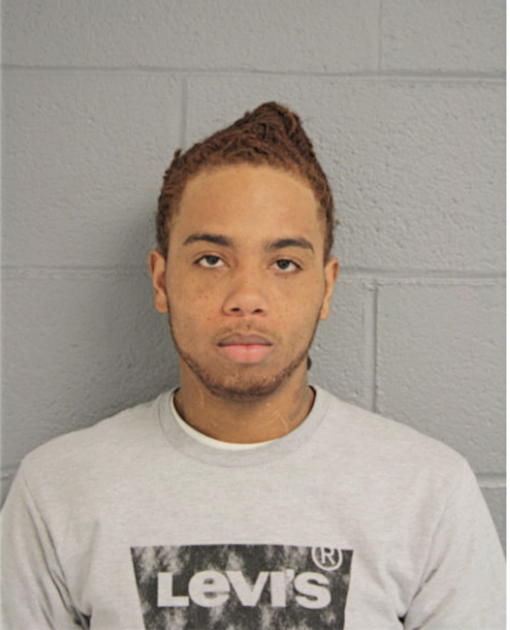 JAVAUHN J JOHNSON, Cook County, Illinois