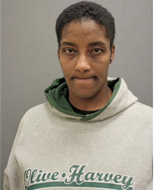 NICOLE V JOHNSON, Cook County, Illinois
