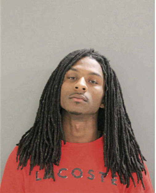 KENYON T LOWE, Cook County, Illinois