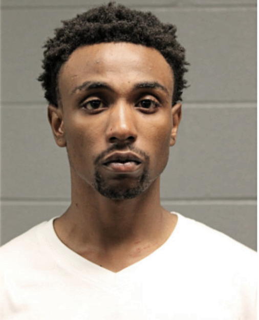 LAVON LYONS, Cook County, Illinois