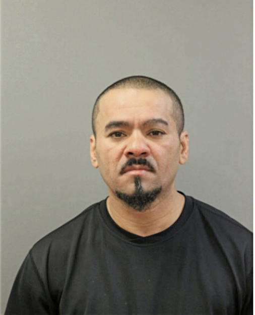CARLOS MARTINEZ, Cook County, Illinois