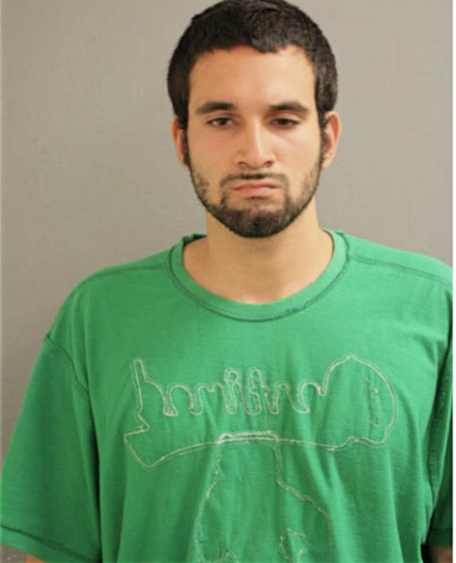 RAFAEL J MENEZ, Cook County, Illinois
