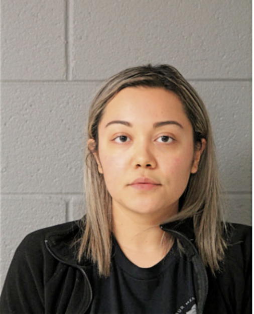 CRYSTAL NAVARRO, Cook County, Illinois