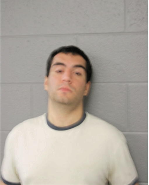 NICHOLAS J ORTEGA, Cook County, Illinois