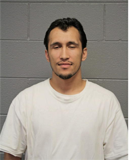 REDJO OSMANOVIC, Cook County, Illinois