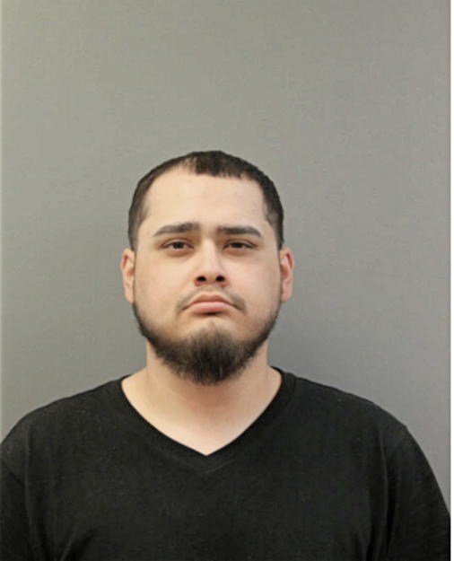 DANNY O PADILLA, Cook County, Illinois