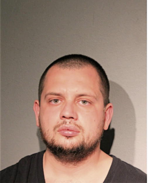 GEORGY ALEKSANDROVICH PLOTNIKOV, Cook County, Illinois