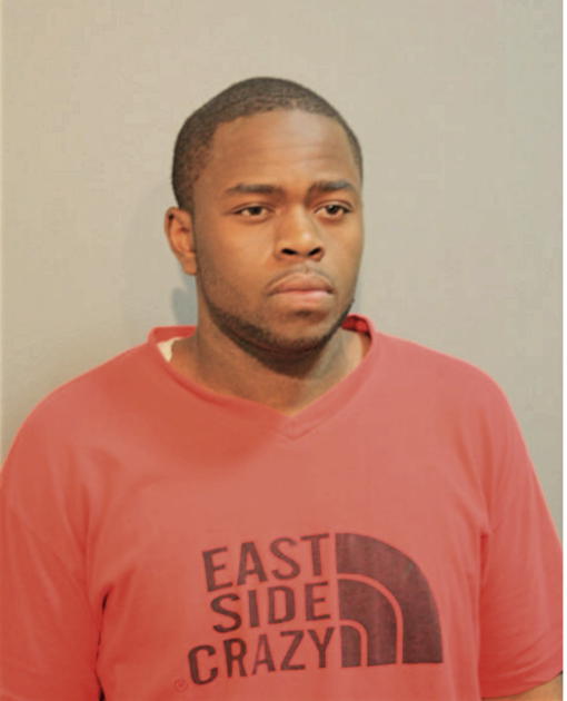 MICHAEL N RUDOLPH, Cook County, Illinois