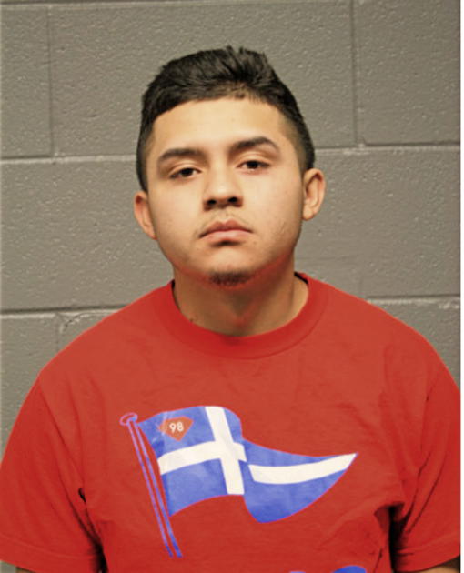 YONI SALINAS, Cook County, Illinois