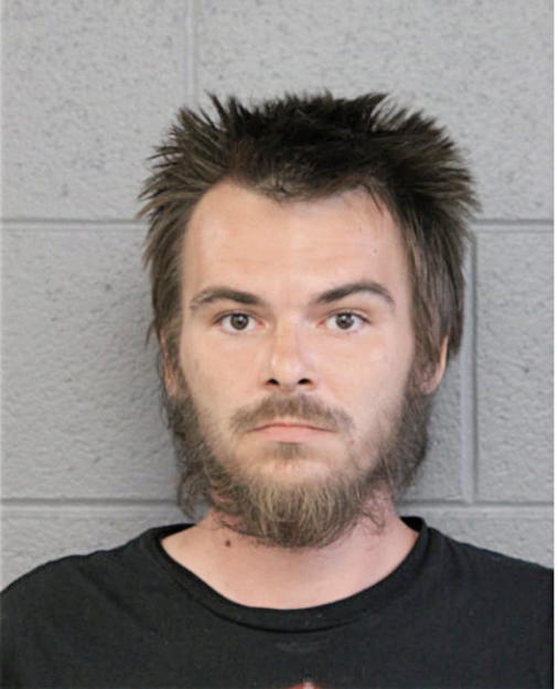 MICHAEL E SCHMIDT, Cook County, Illinois