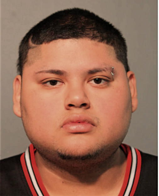 EDGAR L SOTELO, Cook County, Illinois