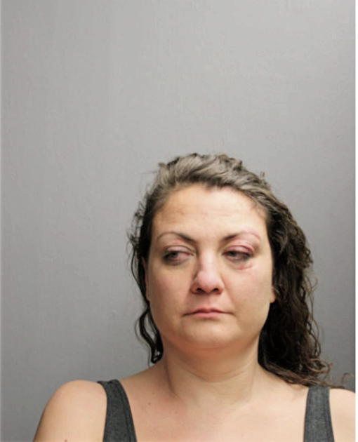 SHANNON S SUHAJDA, Cook County, Illinois