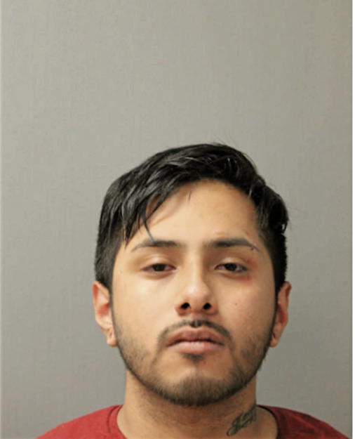 EDGAR TINOCO, Cook County, Illinois