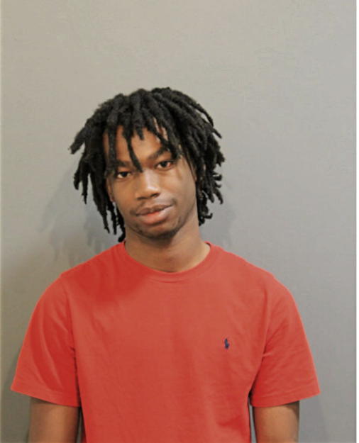 MICHAEL WILLIAMS, Cook County, Illinois